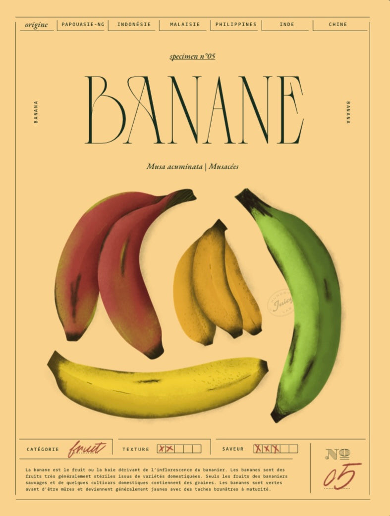 Banane | Specimen N.05