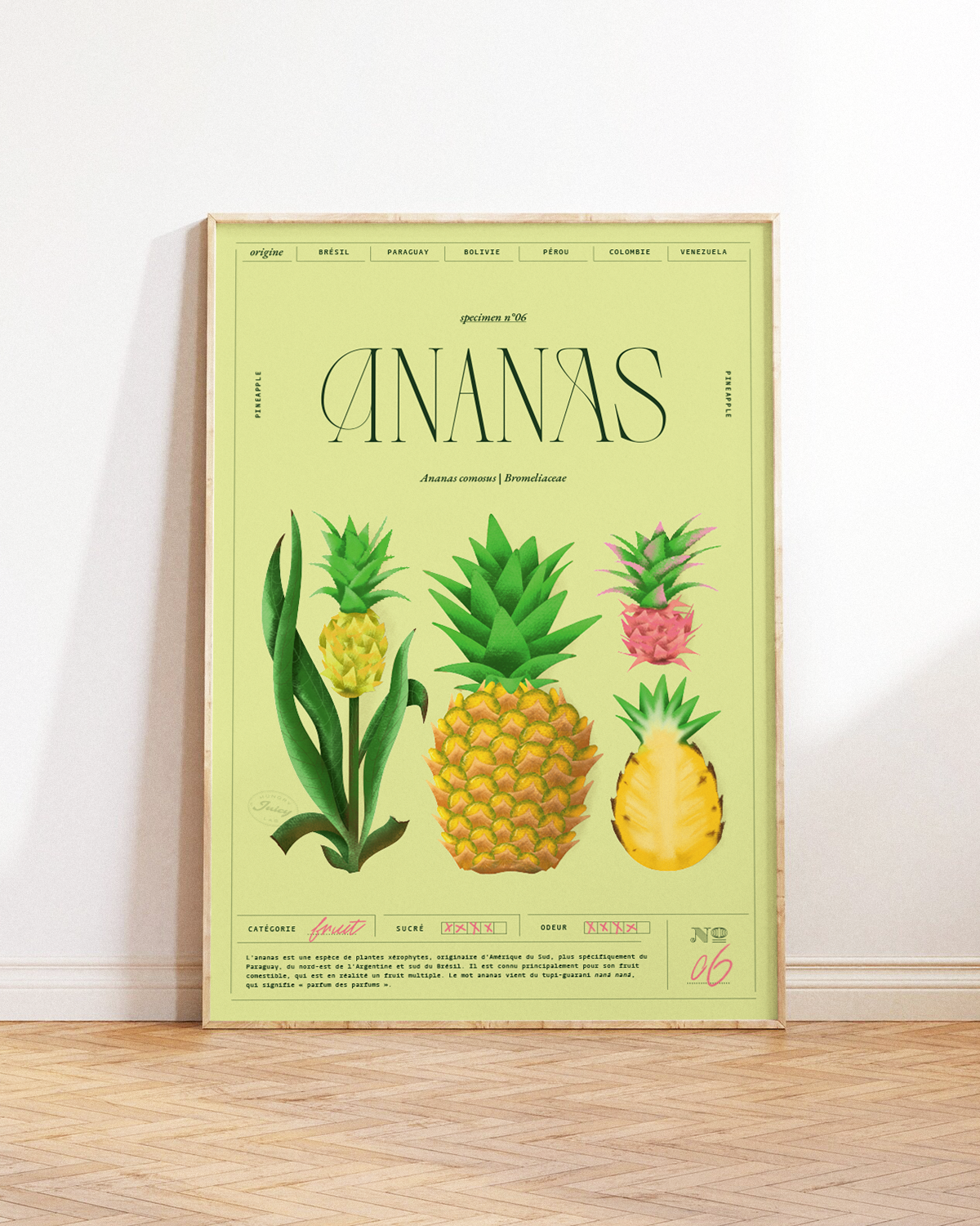 Ananas | Specimen N.06