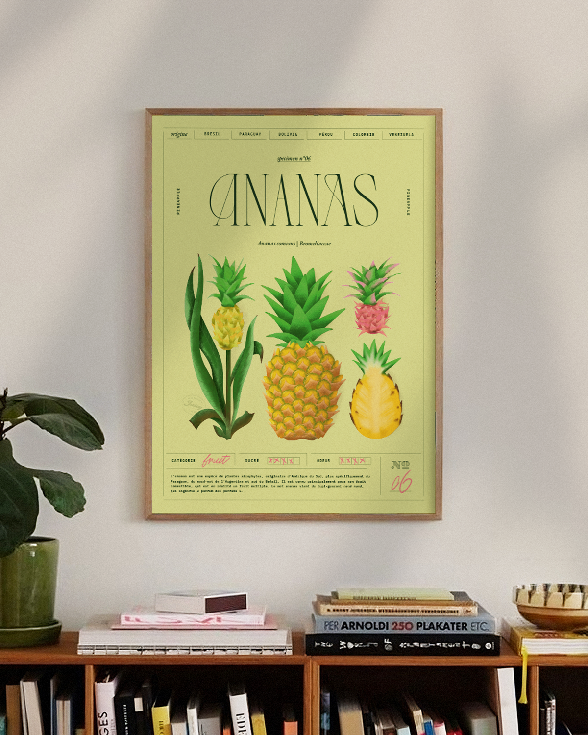 Ananas | Specimen N.06