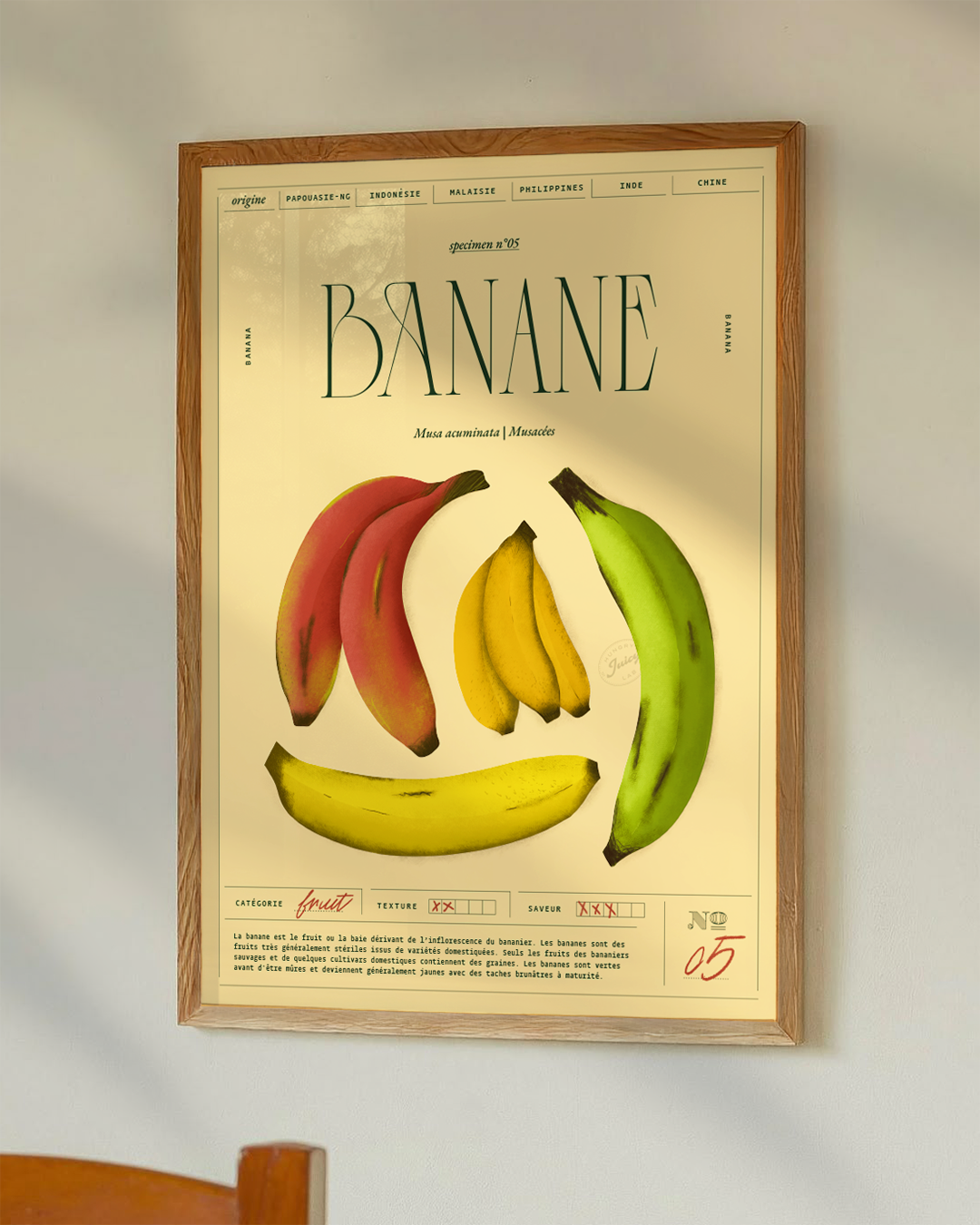 Banane | Specimen N.05