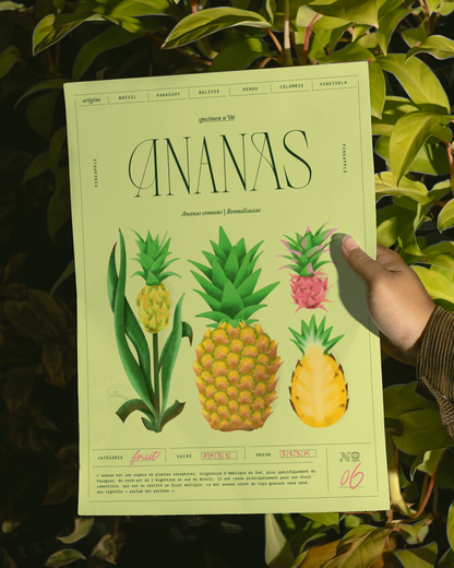 Ananas | Specimen N.06