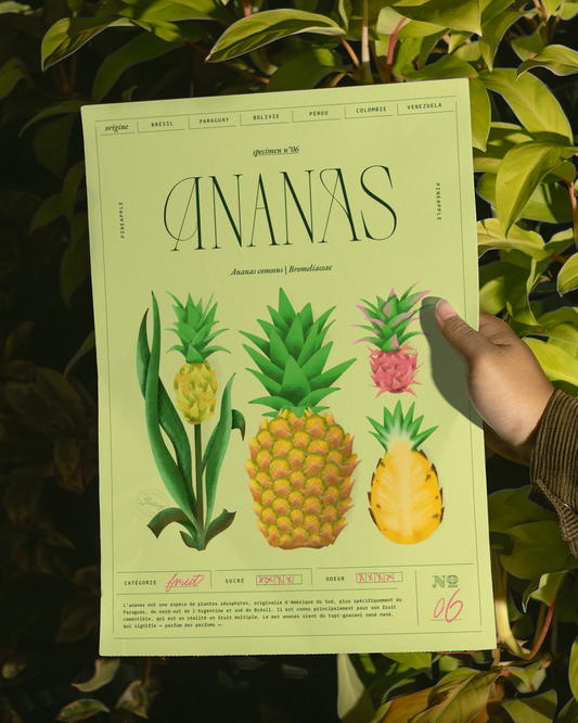 Ananas | Specimen N.06