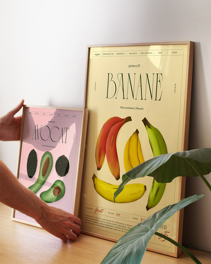 Banane | Specimen N.05