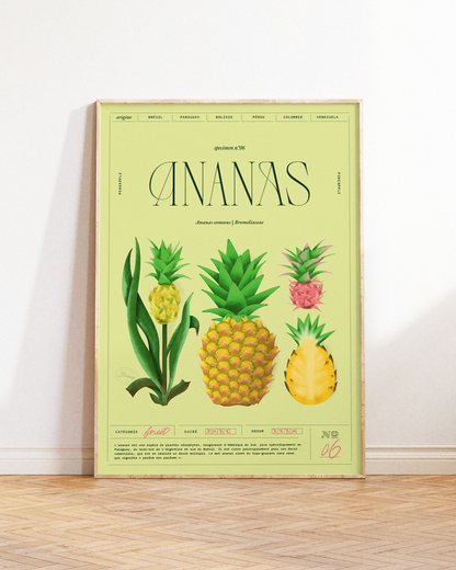Ananas | Specimen N.06