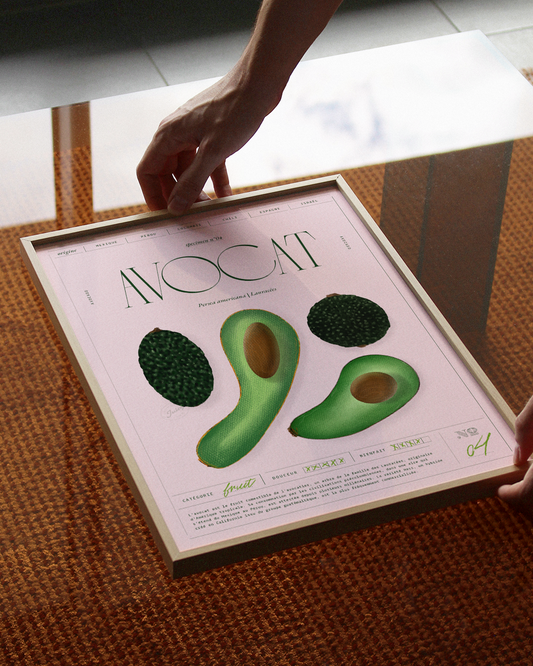 Avocat | Specimen N.04