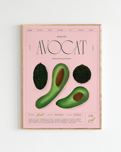 Avocat | Specimen N.04