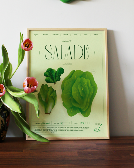 Salade | Specimen N.01