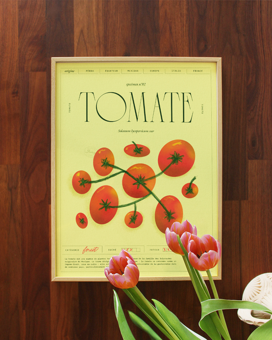 Tomate | Specimen N.02